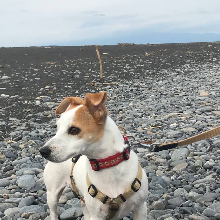 72d8c0ba c545 4b87 b1f7 f86535a28eae 1601373121429