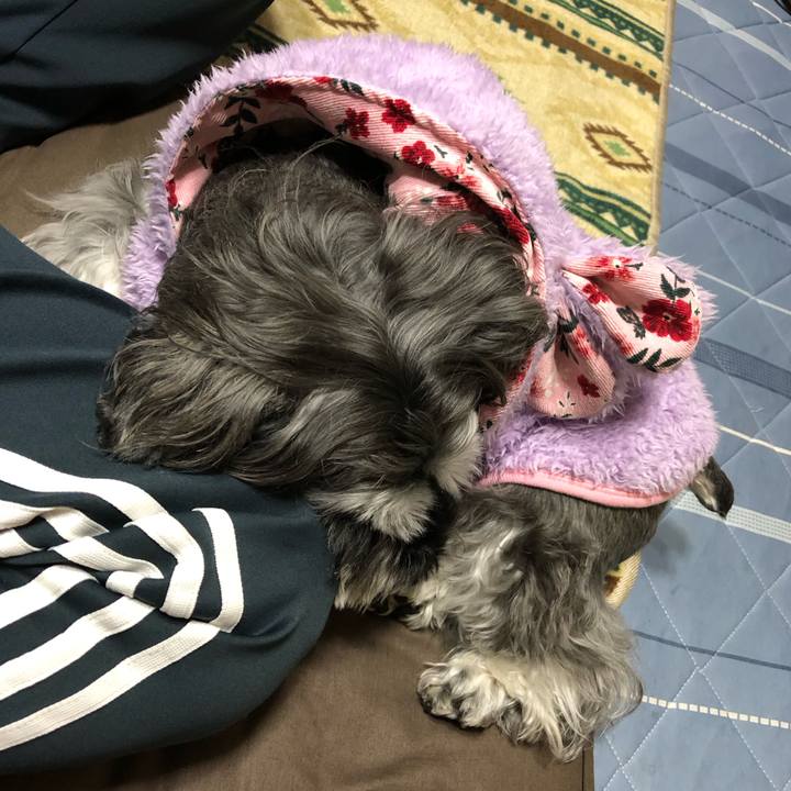 72d923df 1b96 4483 b801 66c0e32cedd1 1704801020076