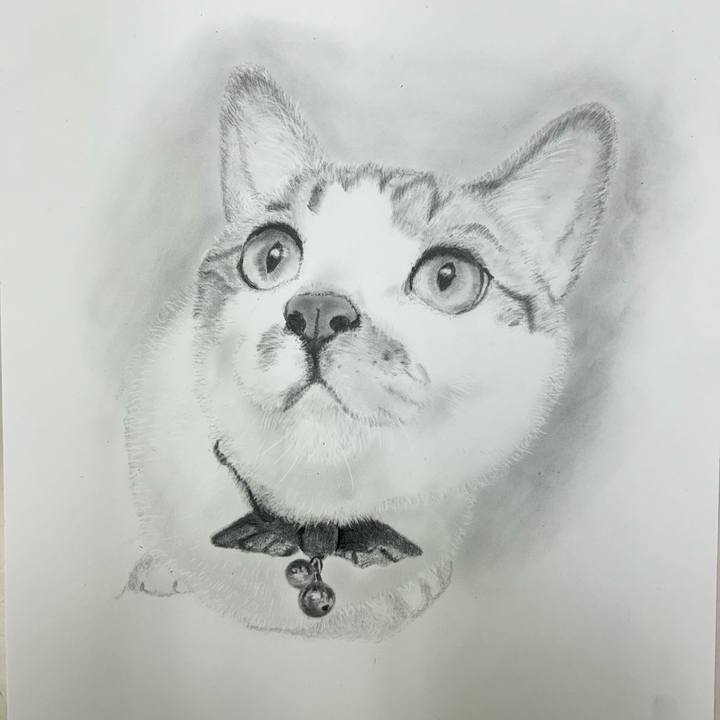 72d95ef6 5251 4d07 9be8 ed97df375fa7 1762412094987