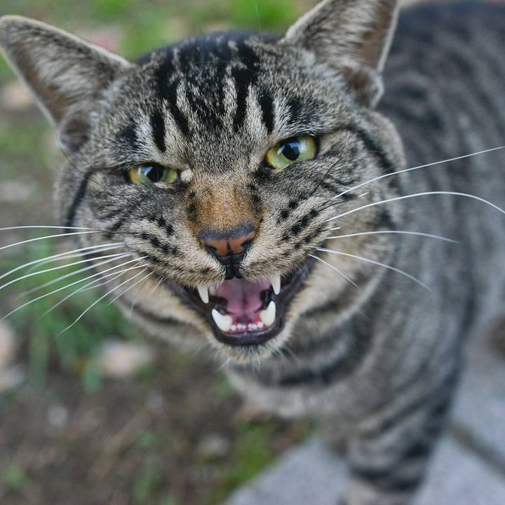 72d98624 eb06 40ed 97f2 954a17ab300a 1544951379048