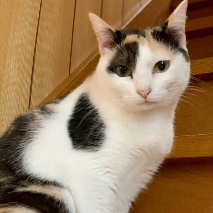 72d9b485 efd4 4ec7 84fc cce47b700be2 1538533102689