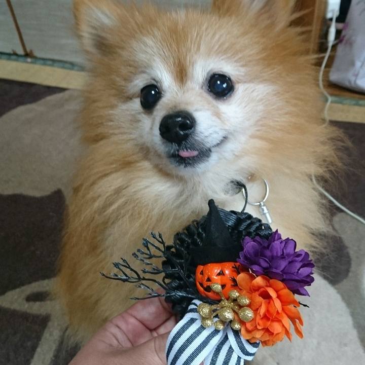 72d9bb99 690c 4647 b467 51fbc198c3de 1540812345378