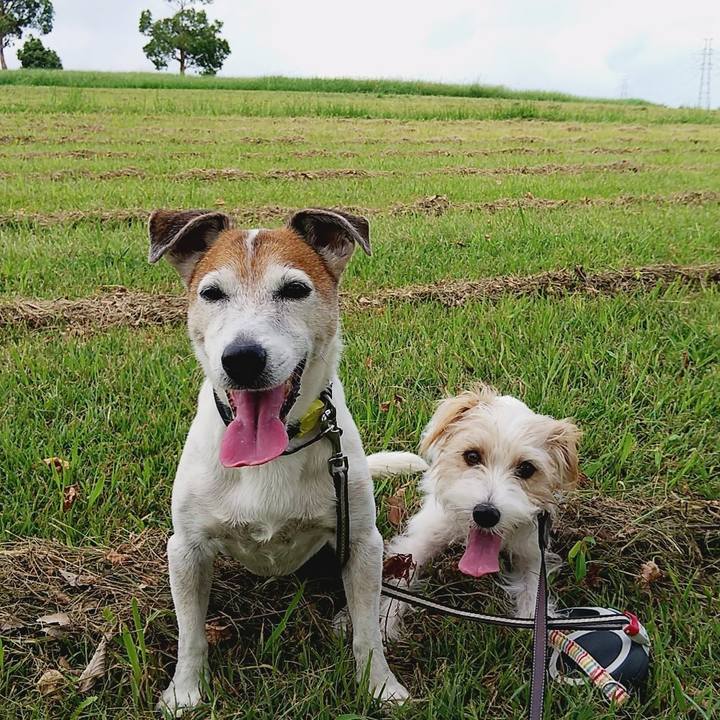 72d9e0e6 9354 4b56 bc59 14b411157ee2 1537082073722