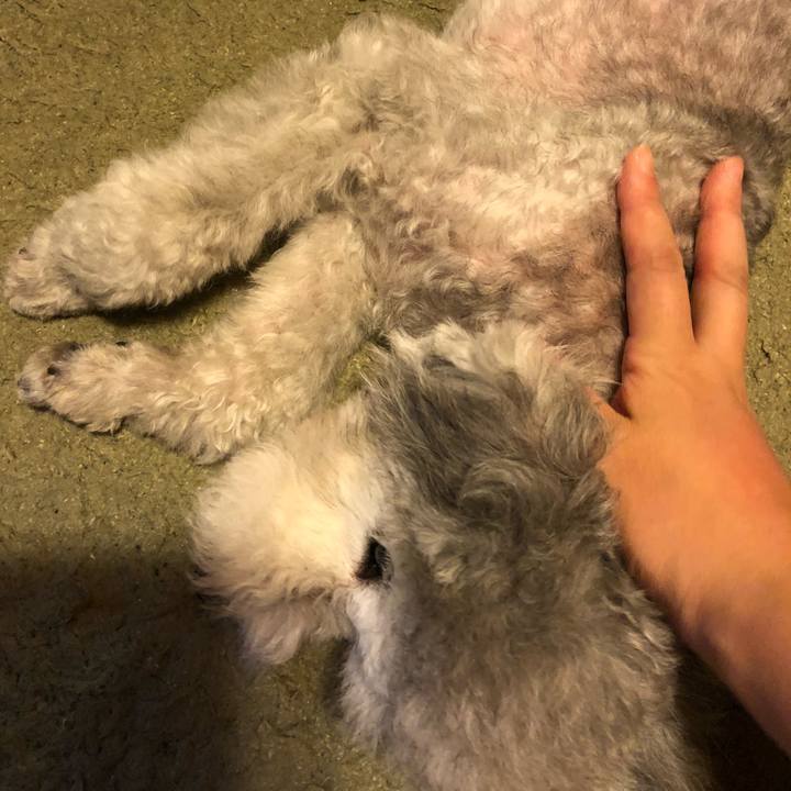 72da044a 5ec1 476f 8729 e0cc88b2effd 1536424139141