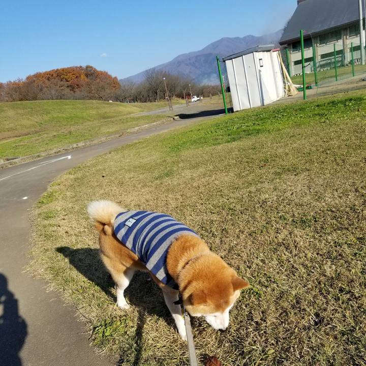 72da0f32 708b 48ad bdcc c5af949e3a2b 1637213130226