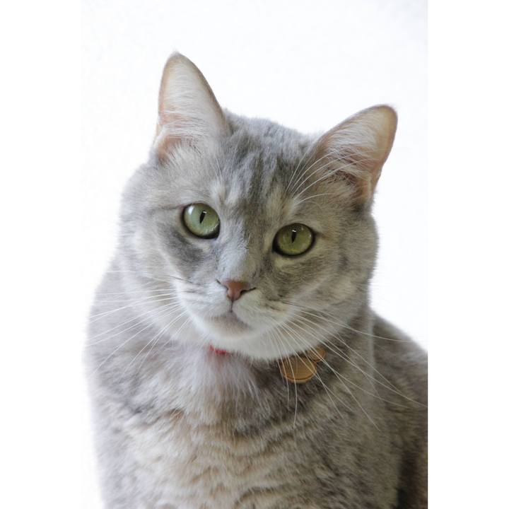 72da393a aa89 4e92 b3ee 41558de9290e 1600849495364