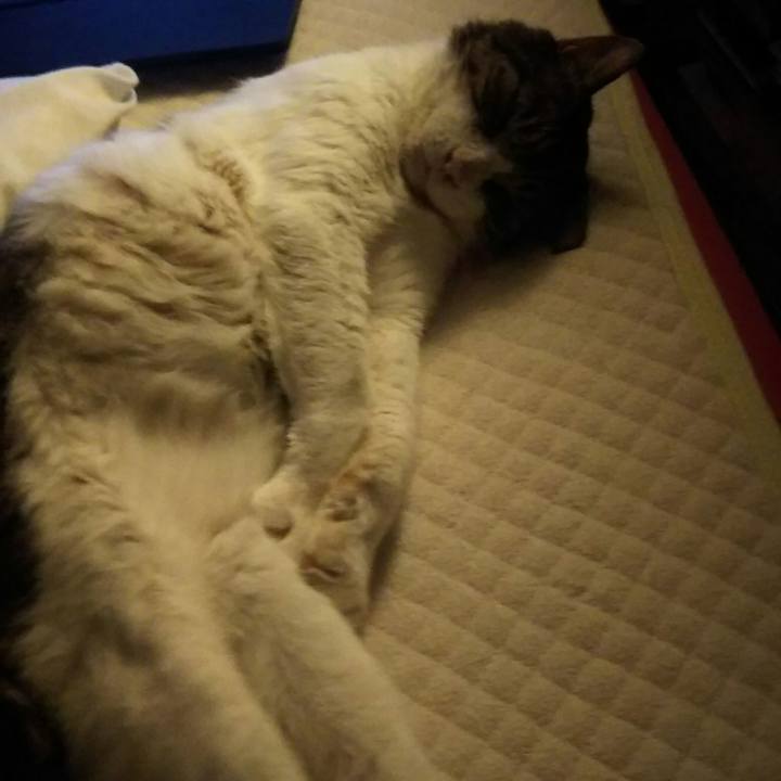 72da39e0 2a1a 471e a80f 44483130e51b 1540305805048