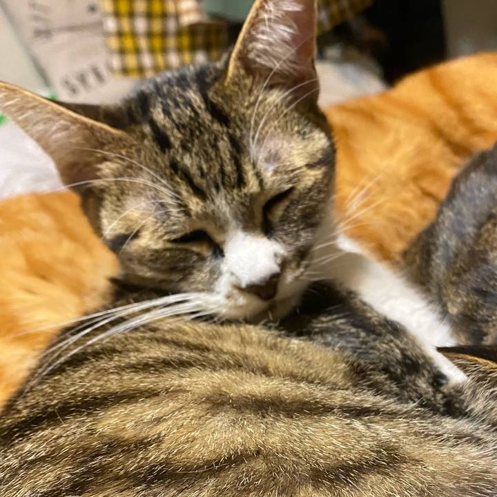 72da439f 2db1 463d a18c 1ef4266678a8 1607382103251