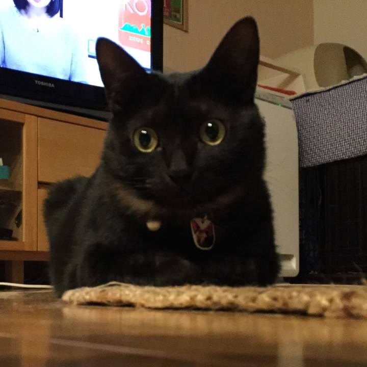 72da57d4 11e4 4712 9307 3a073531eb07 1517306659331