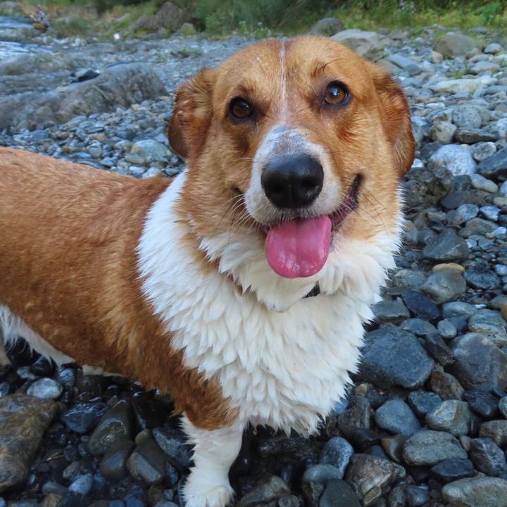 72da7c95 7b97 422e b09b 19bf3cba061b 1666568971357