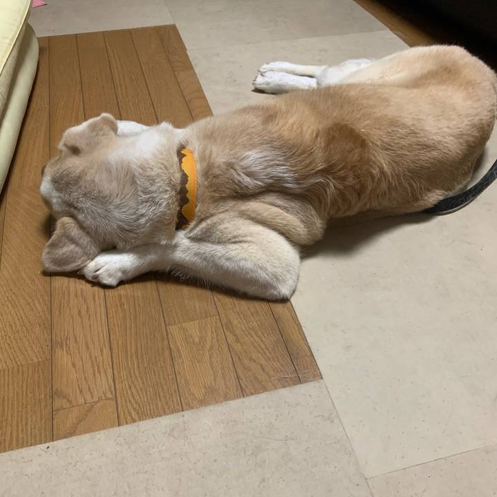 72daa11a 95e4 48f8 99dc cd1a9a641bd8 1657121342896