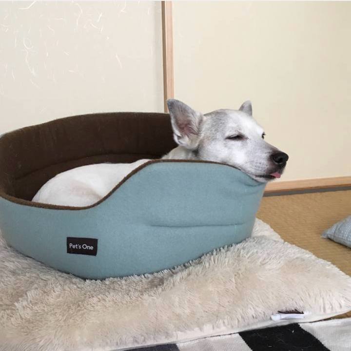 72daa6f2 f819 4b6c 9b3a 63d1204238fa 1765233218632