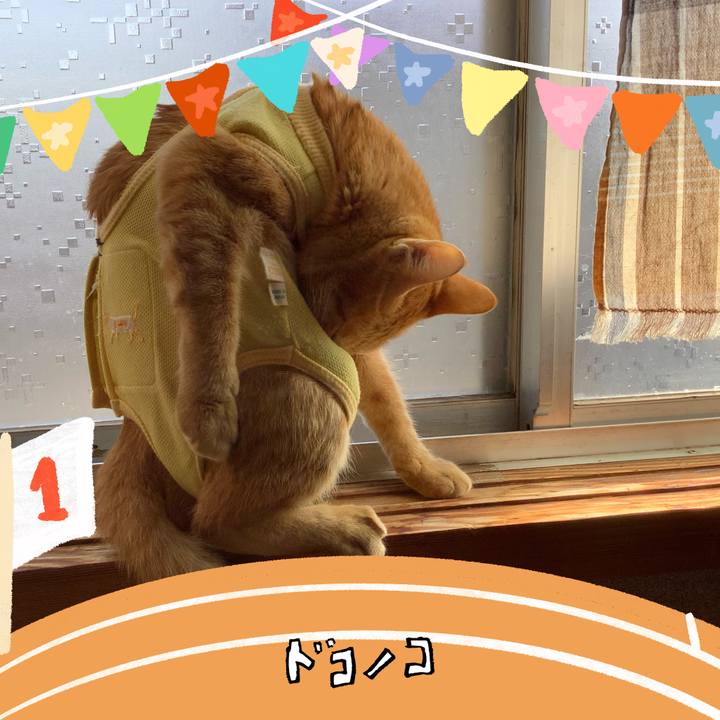 72daa7ff 99aa 4756 a558 5fd9a2eb9142 1763774501582