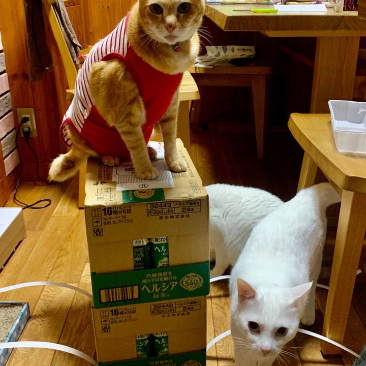 72daa875 77d6 4da6 8137 f3b490784ad4 1593869217790