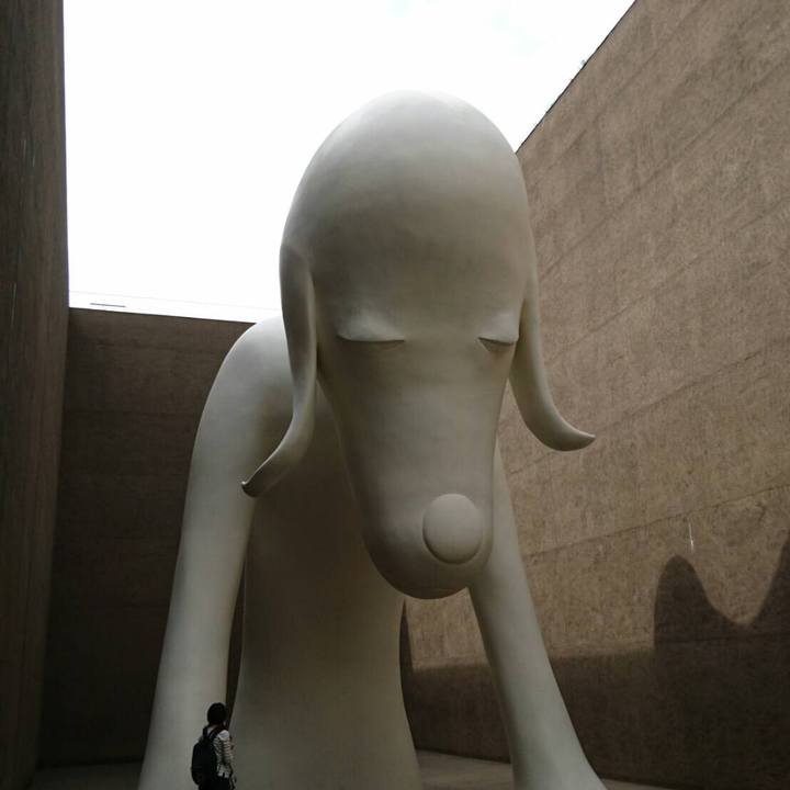 72dad090 56ff 4fc4 add9 a171a2301d92 1537783976595