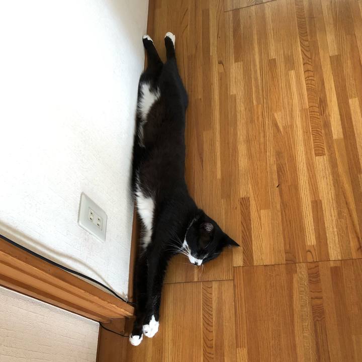 72db126f cd90 4288 ac81 60a9e72ef16c 1565063126526