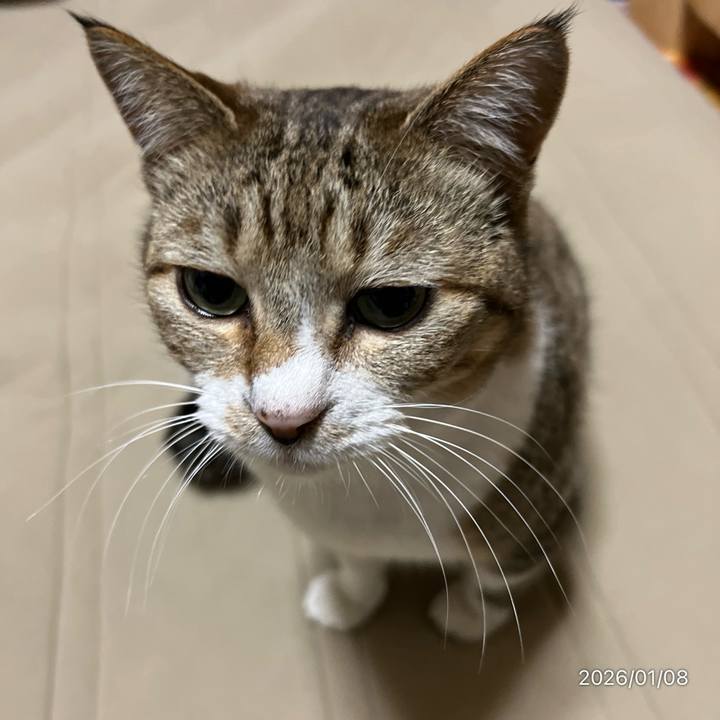 72db53ac 8119 471e bdbb 40500c0af8f6 1767823478774