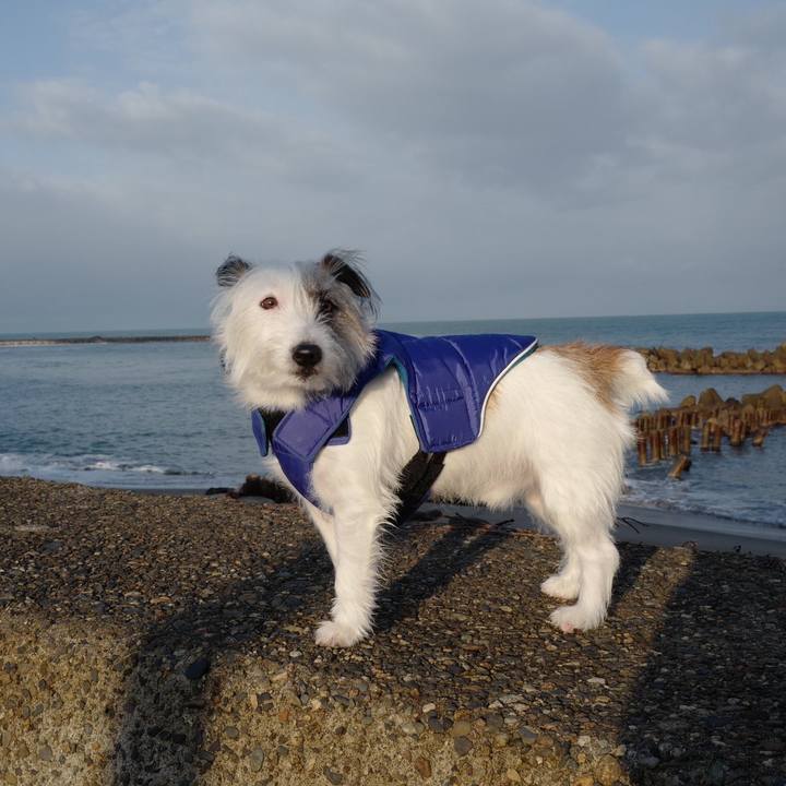 72db5c35 5ee2 4718 a205 e6984af9c8de 1577593051875