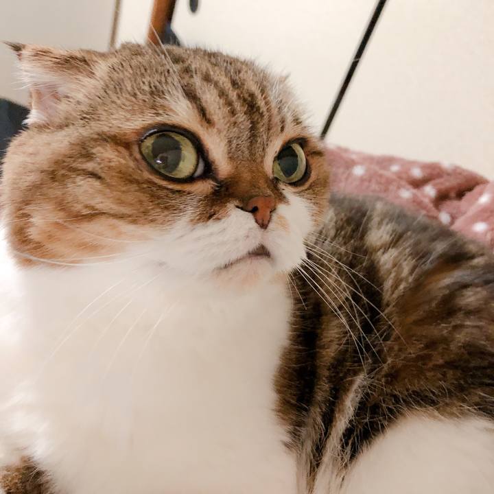 72db6166 f2c9 414d a2d9 9a21c5bce6ec 1578823905105