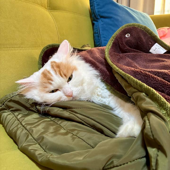 72db9c8e 27d5 4f0f 97e6 88c6abd85900 1766720375654