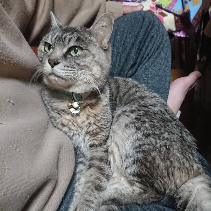 72dba3c3 91f0 432d a589 f33a5cdb3871 1575542690476