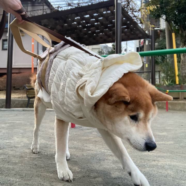 72dbb226 25cc 4e7c 9fd9 074539cd9488 1610421267797