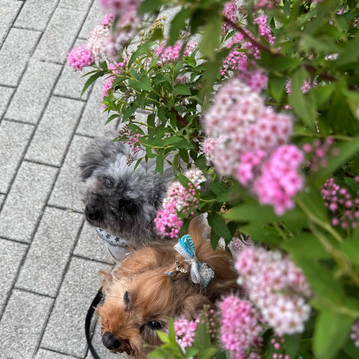 72dbe045 d14c 47ec adce 3a7d40673c0b 1751325370233