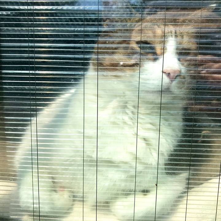 72dc2010 72f3 4c0d a18c ade0f949fc4d 1618795125877