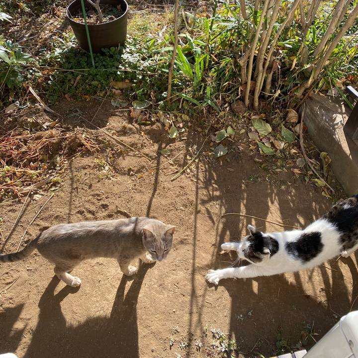 72dc43e9 49ac 488c bec9 14ae3f384689 1609941843827