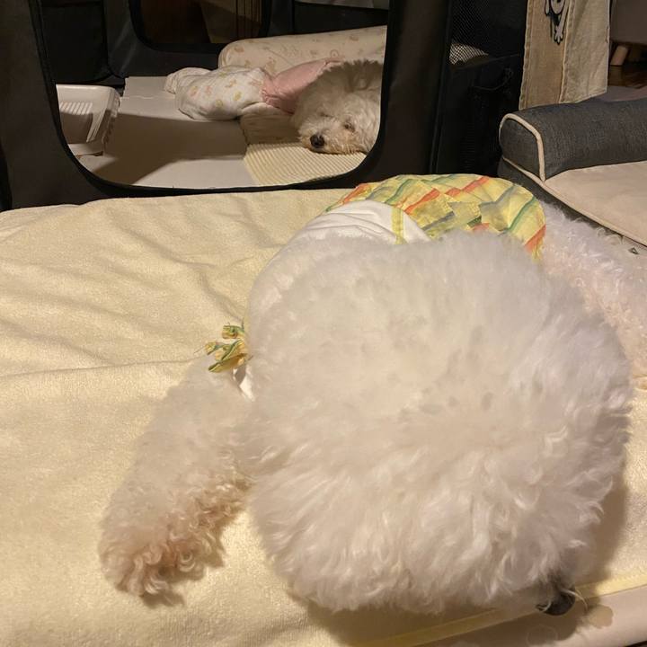 72dc4b96 98db 4ed9 afb1 654cc7c65f36 1720002958312