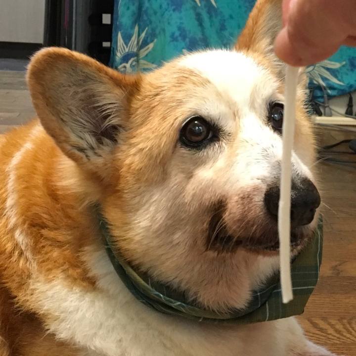 72dc8438 1c0c 4616 9a40 5c7c99781600 1560297919432