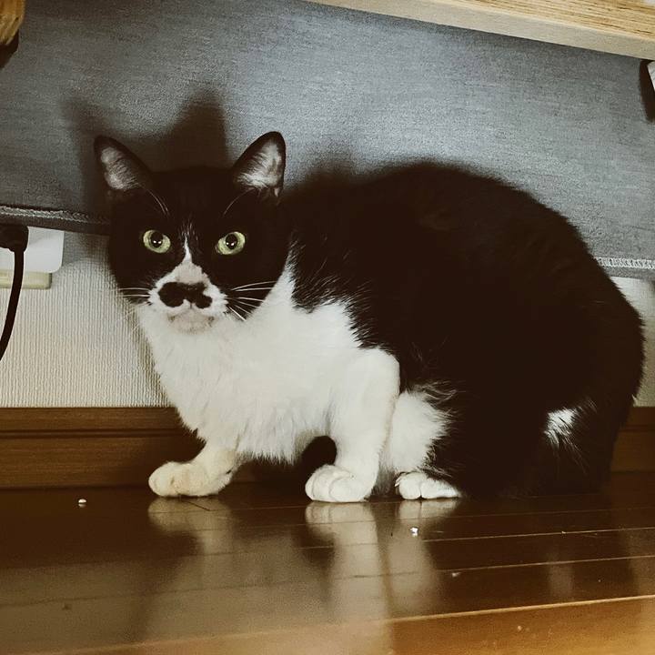 72dc8a68 5521 4049 9fbe 4405a961fbe0 1651988036384