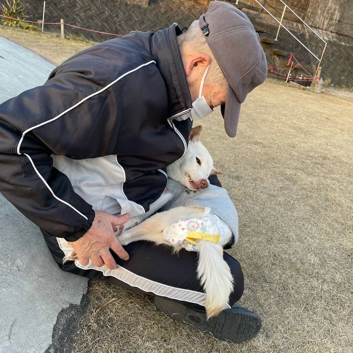 72dc8bf0 4491 4277 89f3 a2f39eef3a8e 1672923705548