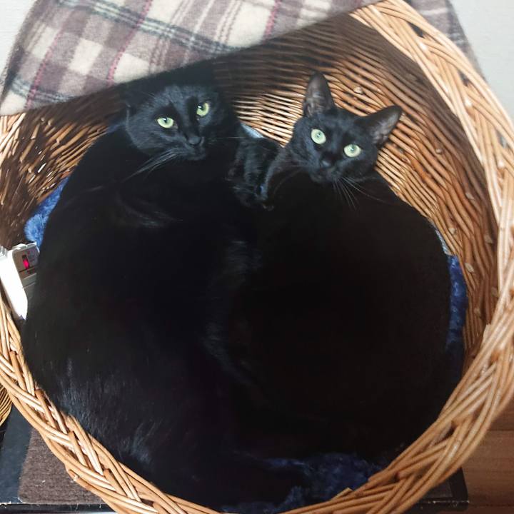 72dc9426 79c9 47df acb4 1210a429f589 1614933966602