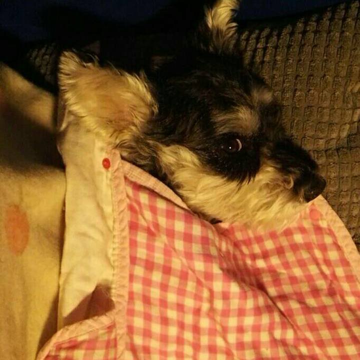 72dc94bd 2a9d 4eba bed5 f9122dc00d32 1545033977352