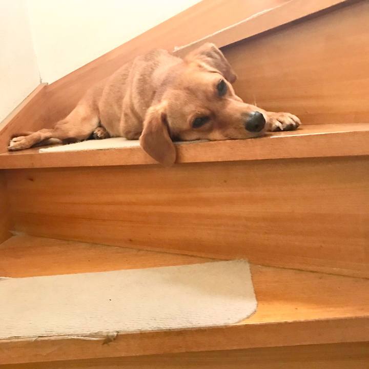 72dd2b75 a5ad 4a4b ada1 ca3484be2202 1536721462550