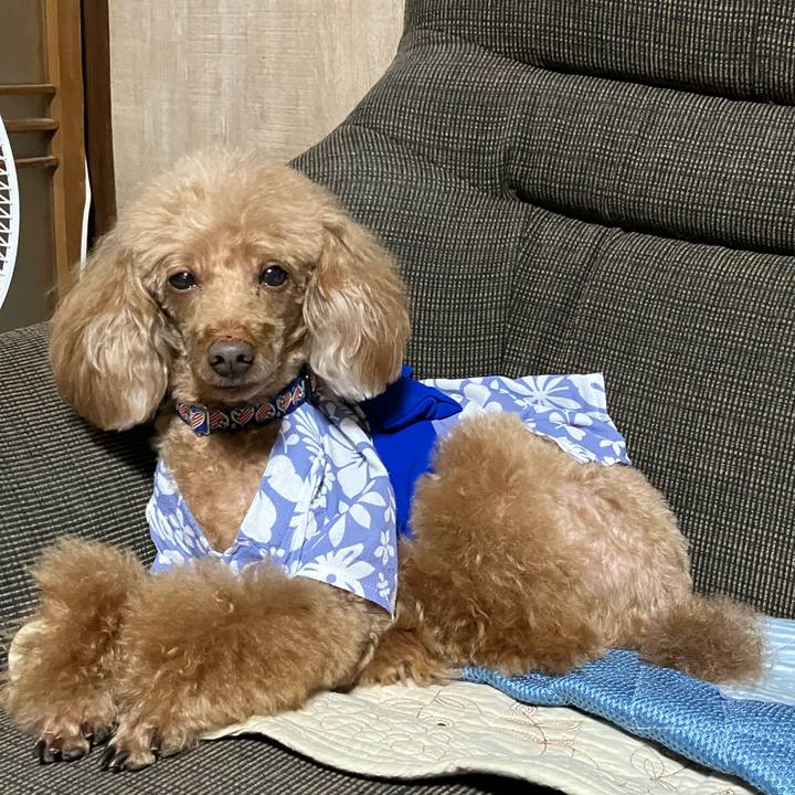 72dd7749 5477 4427 8f77 1a0bedd0c45e 1661676080148