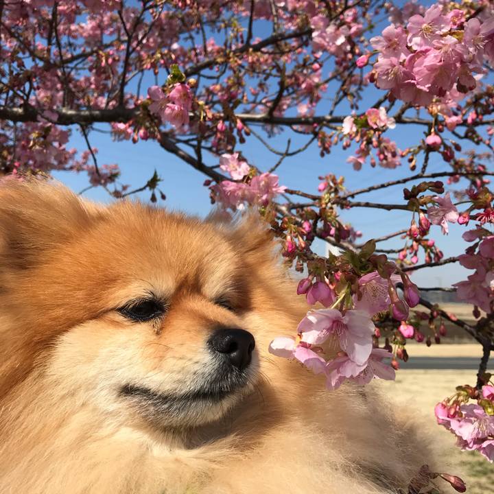 72dd870b 300a 4df4 a3a0 a690d97cf859 1552125715489