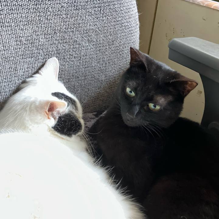 72ddaa7e 568b 4b46 ae31 3a1b85b40aa5 1751516990223