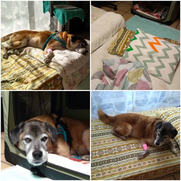 72ddb54c a710 4ee5 95e3 71f9945f9ff8 1572999668337