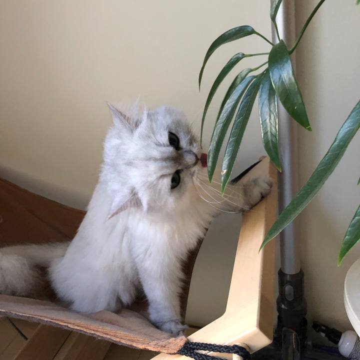 72de42bc 4e5b 40ec beae c25db58d2644 1531554791337