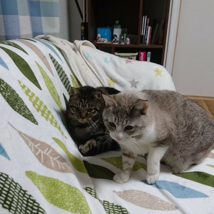 72de58fd 3447 4e60 8309 d011ee996d8a 1579698130556