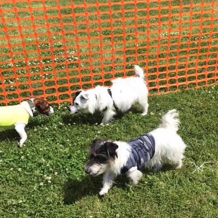 72de93f2 15cf 4b26 80f1 805ffb08cfd3 1652403418110