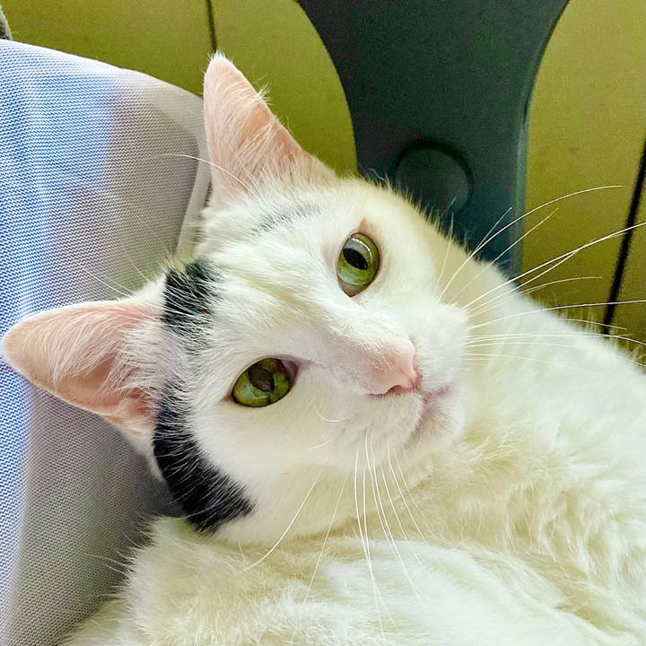 72ded46e 4e53 4262 8694 6c243be22f5c 1664777861352