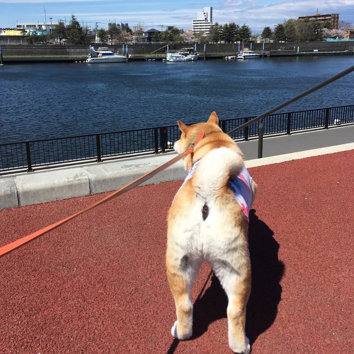 72df3328 1ba2 4336 a731 8ffa49887475 1554954006481