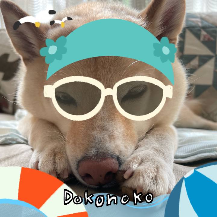 72df3c14 d5de 4b3d a862 073c161d8722 1723673106015