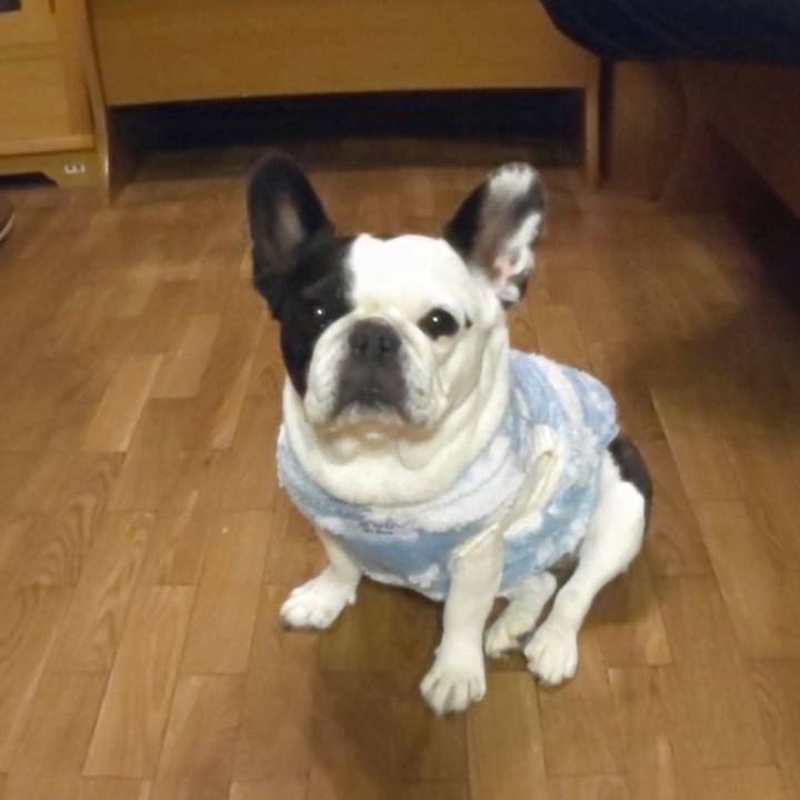 72df5030 f474 4edf 9394 c0ee2f936292 1637793393277