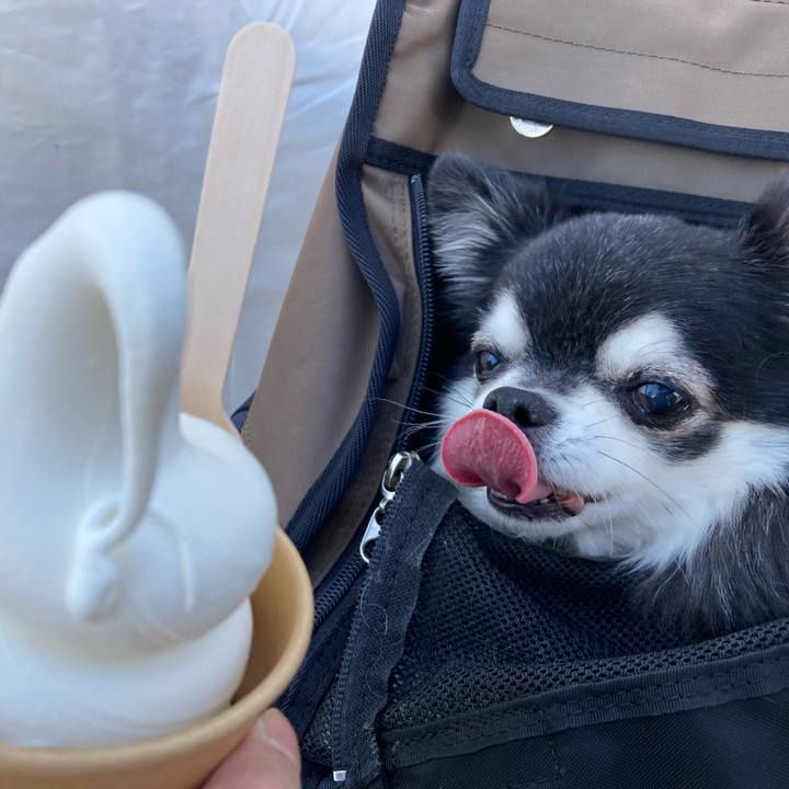 72dfa577 eab8 4c88 9502 183a2bb954b1 1774162922681