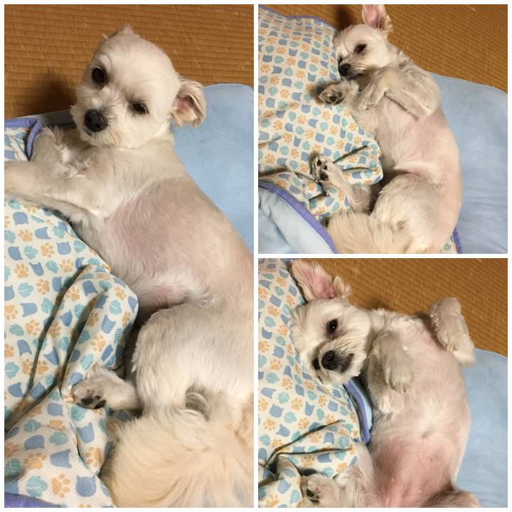 72dfee3d f1fd 4340 9647 06587b785f00 1530445917764