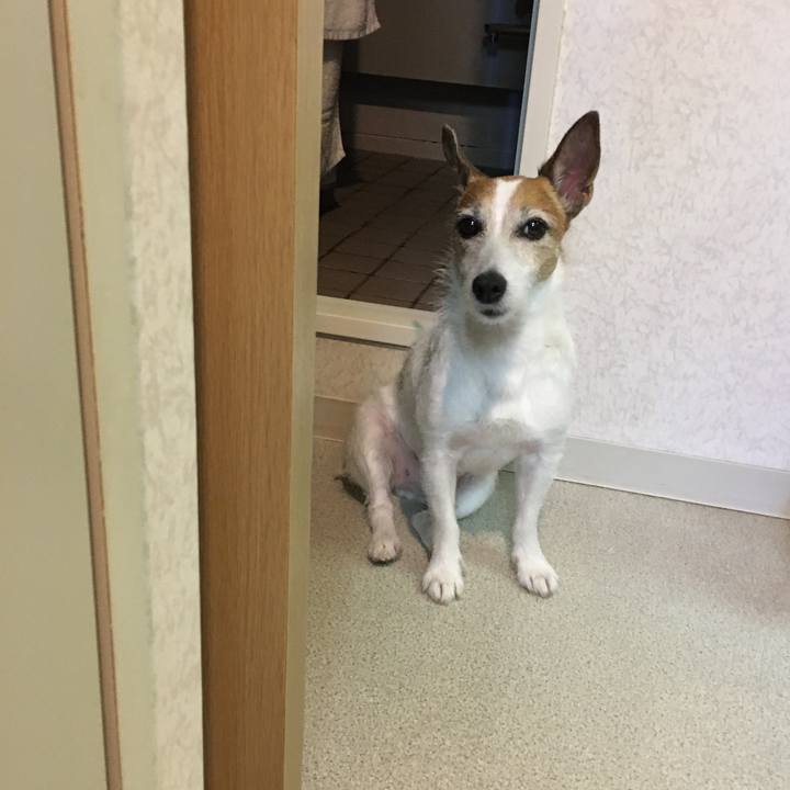 72e01175 537c 4126 ad57 4c5dbbf92e56 1658015598551